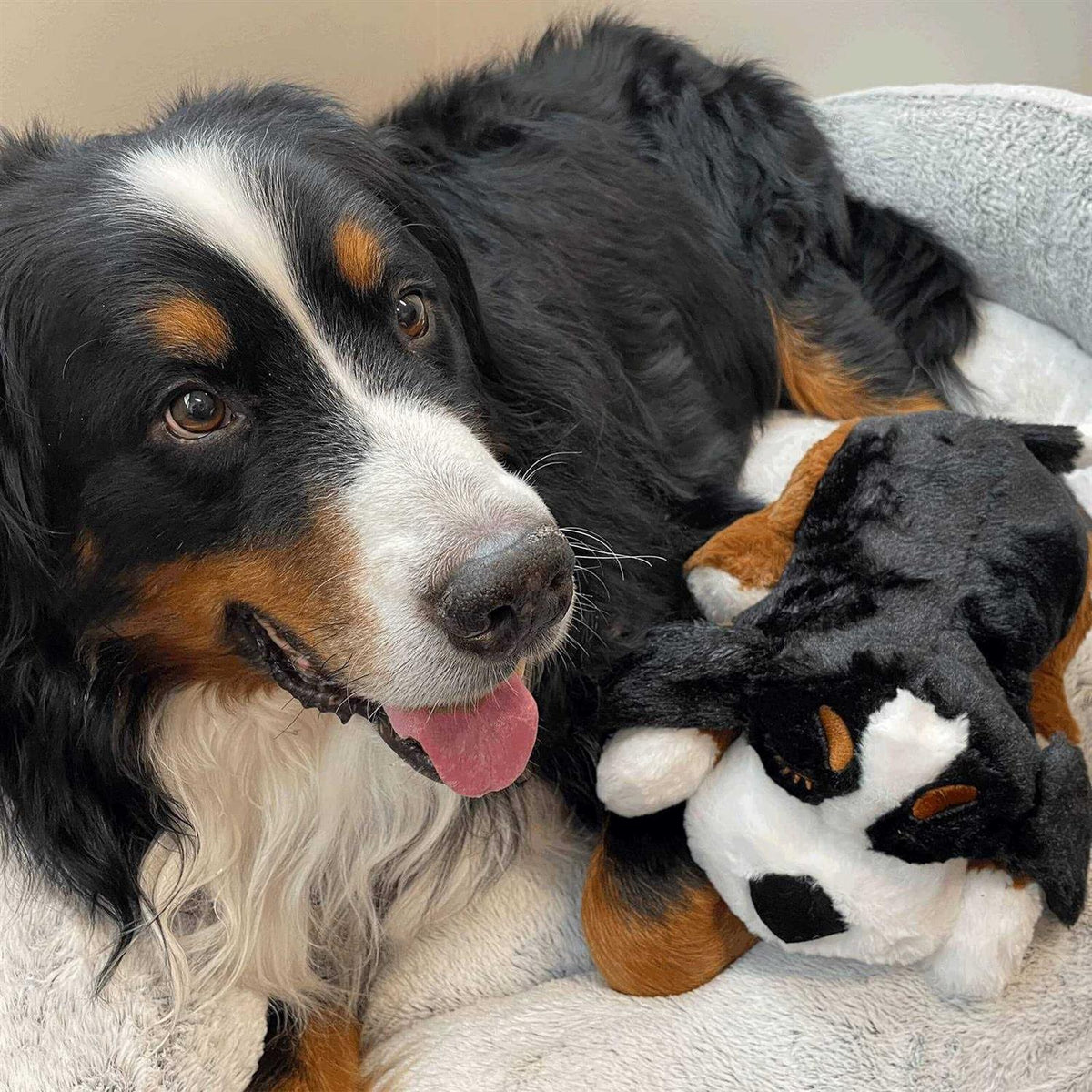 Smart Heartbeat Toy for Pet Anxiety Relief N989