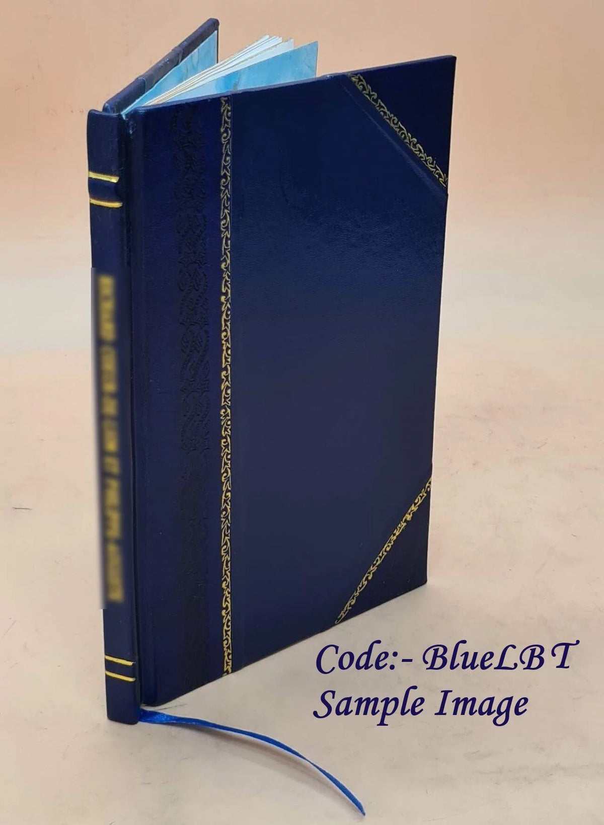 Literary Institute Essay and Poem Leather Bound T249821