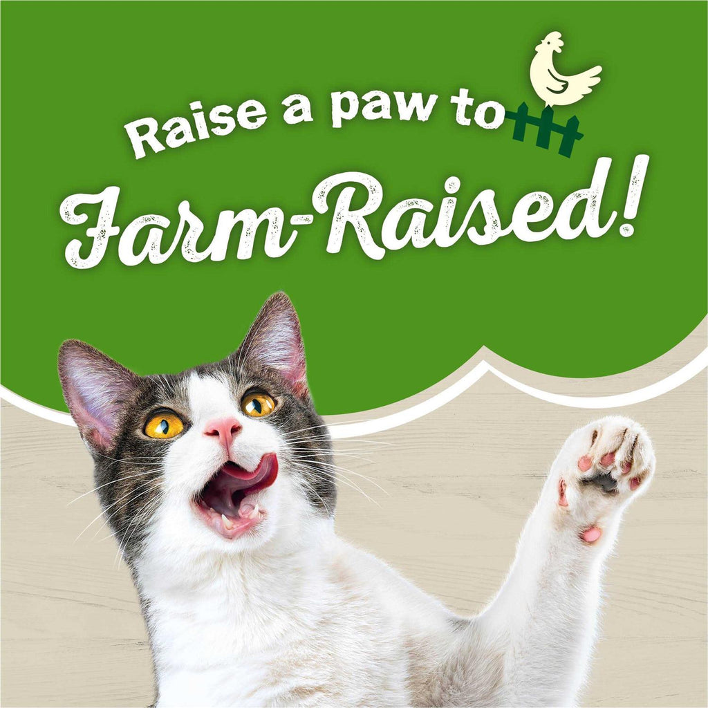Dry Cat Food with Chicken D709