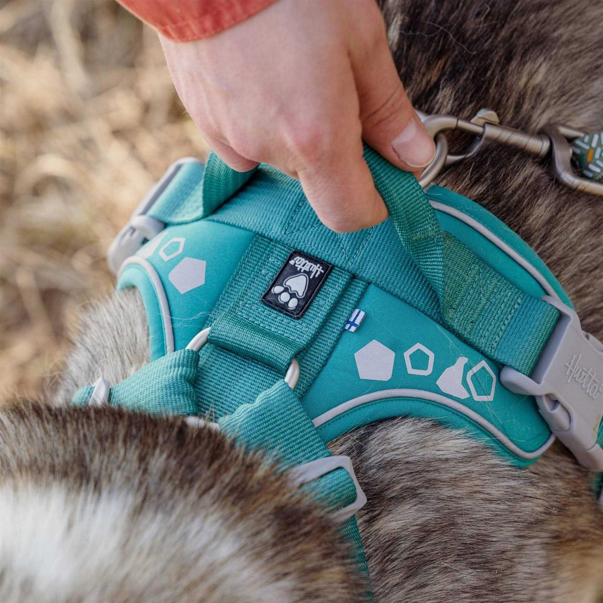 Dog Harness V98689