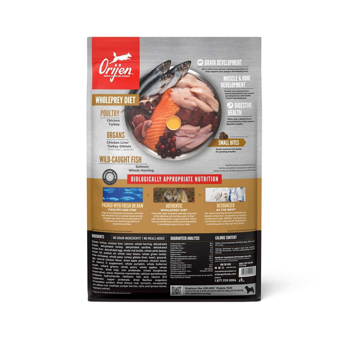 Puppy Dry Dog Food W36559