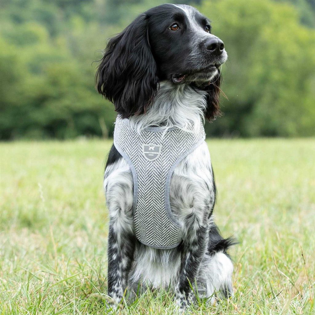 Tweed Dog Harness Vest O721300