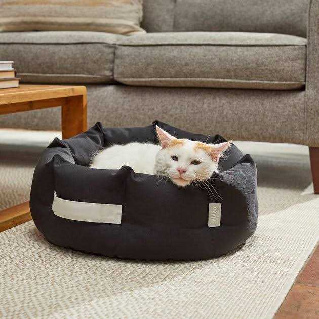 Indoor/Outdoor Bolster Cat & Dog Bed P57099