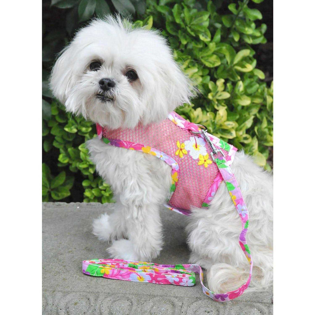 Cool Mesh Dog Harness with Leash J11793
