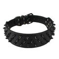 Black Spiked Studded Leather Dog Collar C850