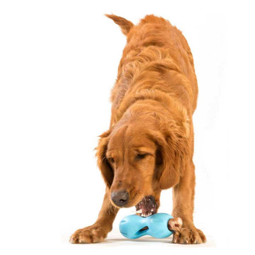 Dog Toy V204