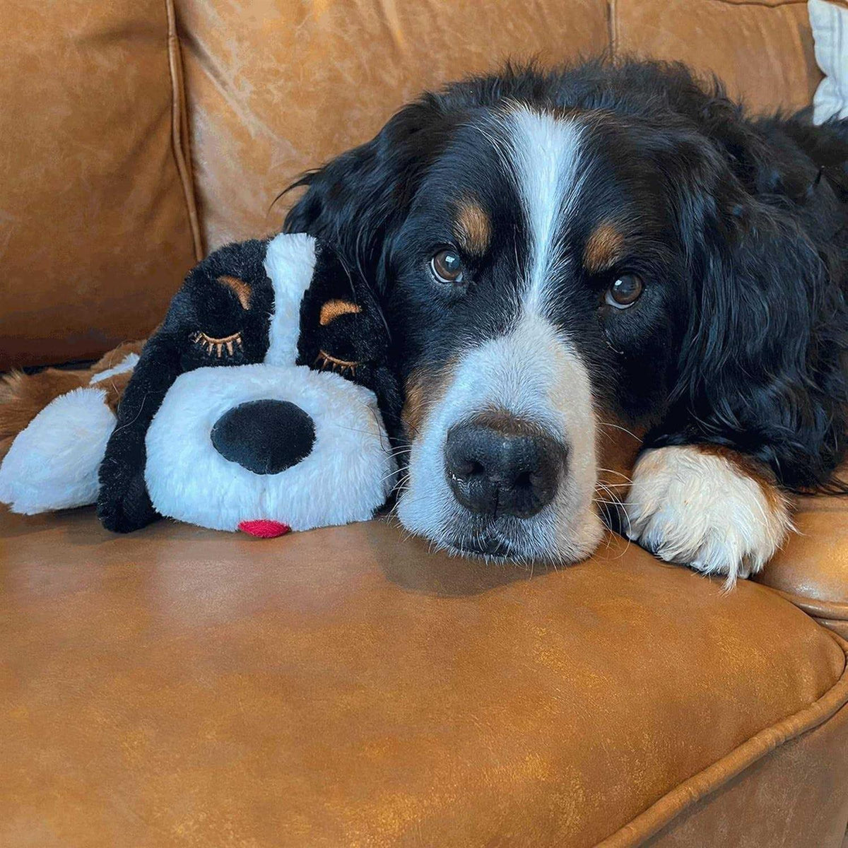 Smart Heartbeat Toy for Pet Anxiety Relief N989