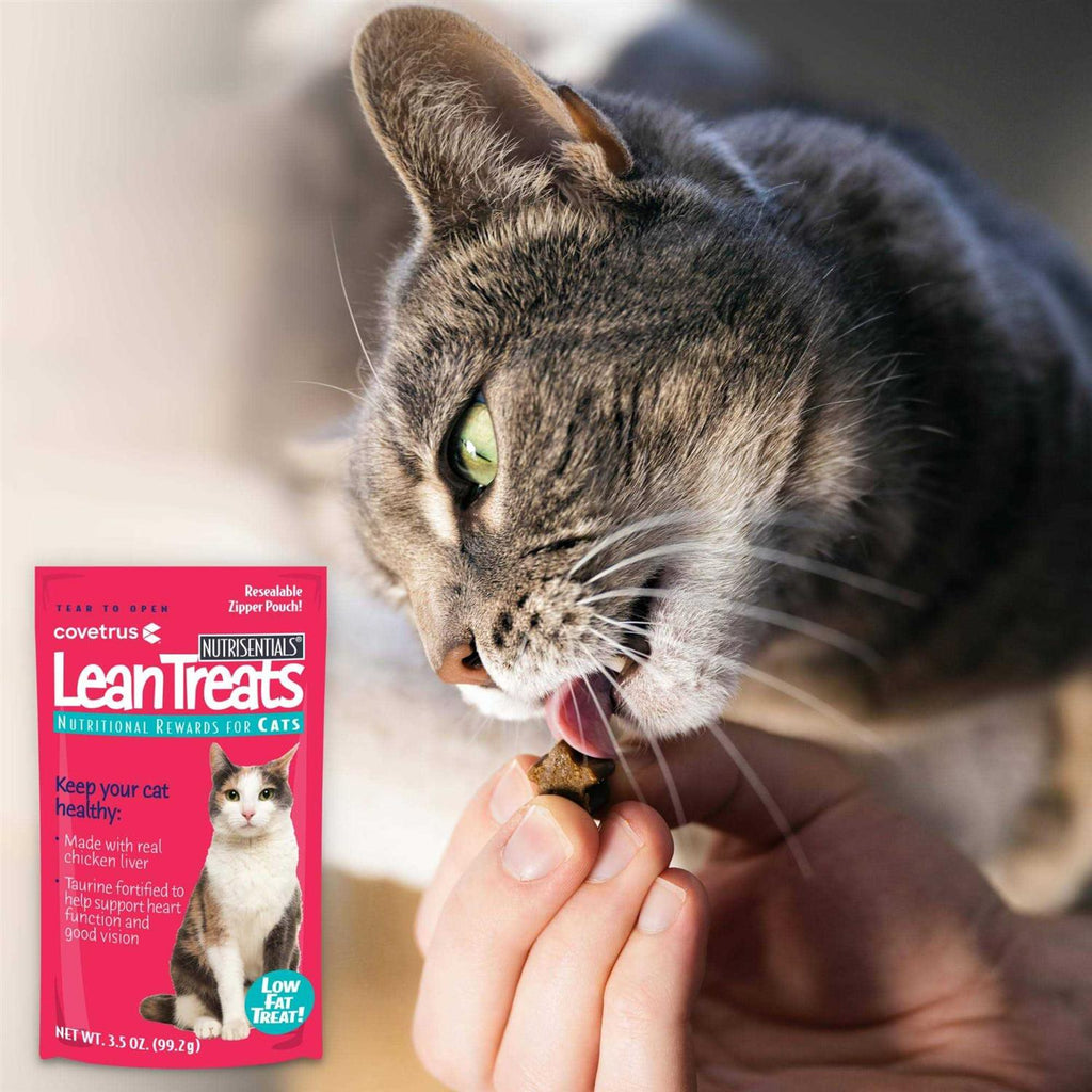 Soft Cat Treats I649