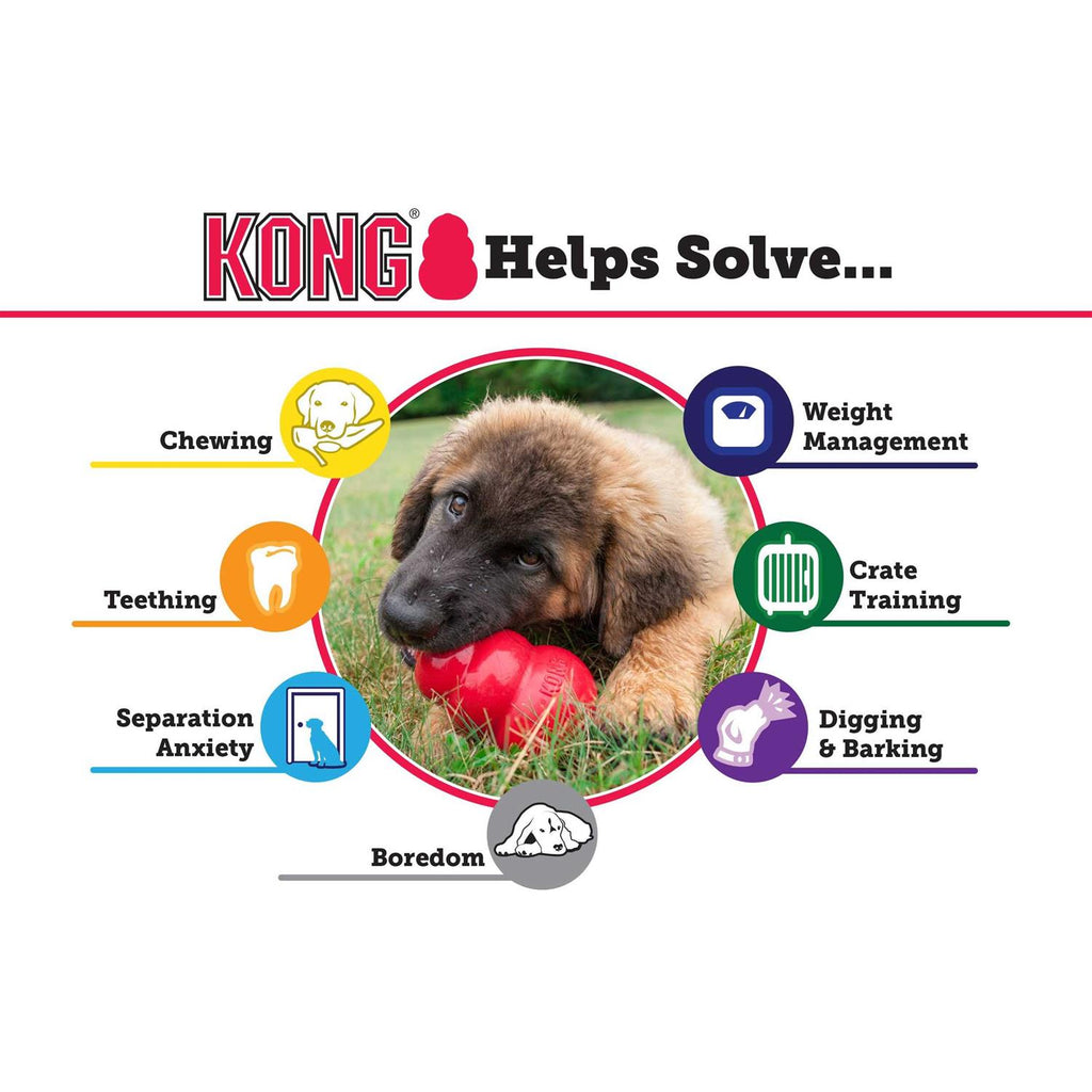 KONG Dog Toy D9314