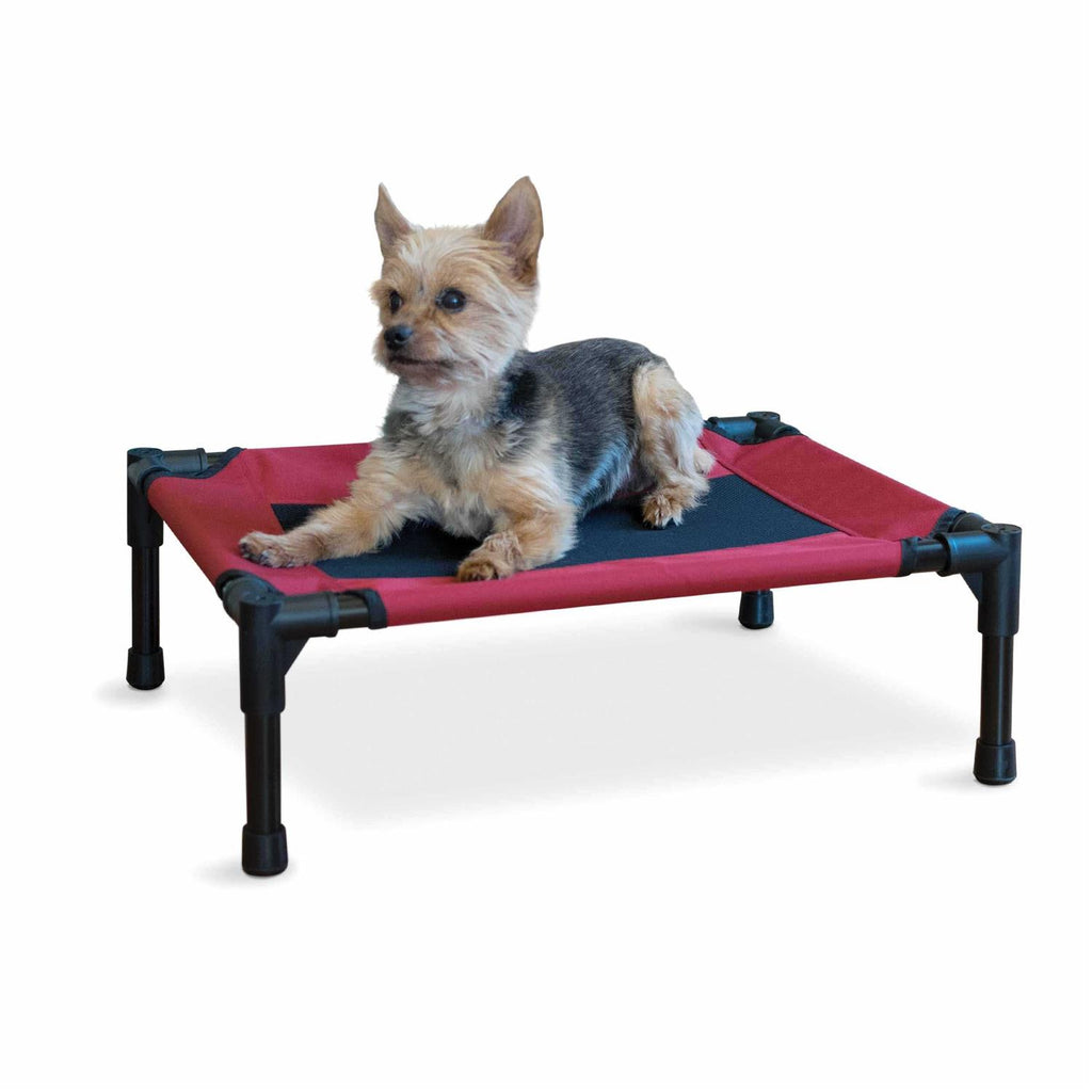 Elevated Pet Cot F17715