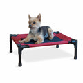Elevated Pet Cot F17715