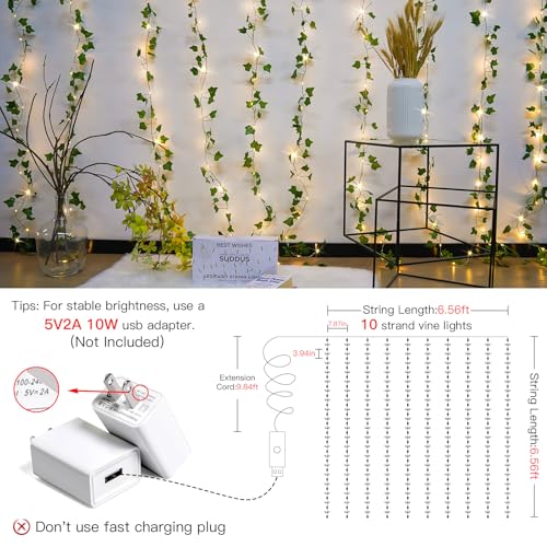 200 LED 6.5ft x 6.5ft Pothos Fairy Curtain Lights with Remote Warm White M8137