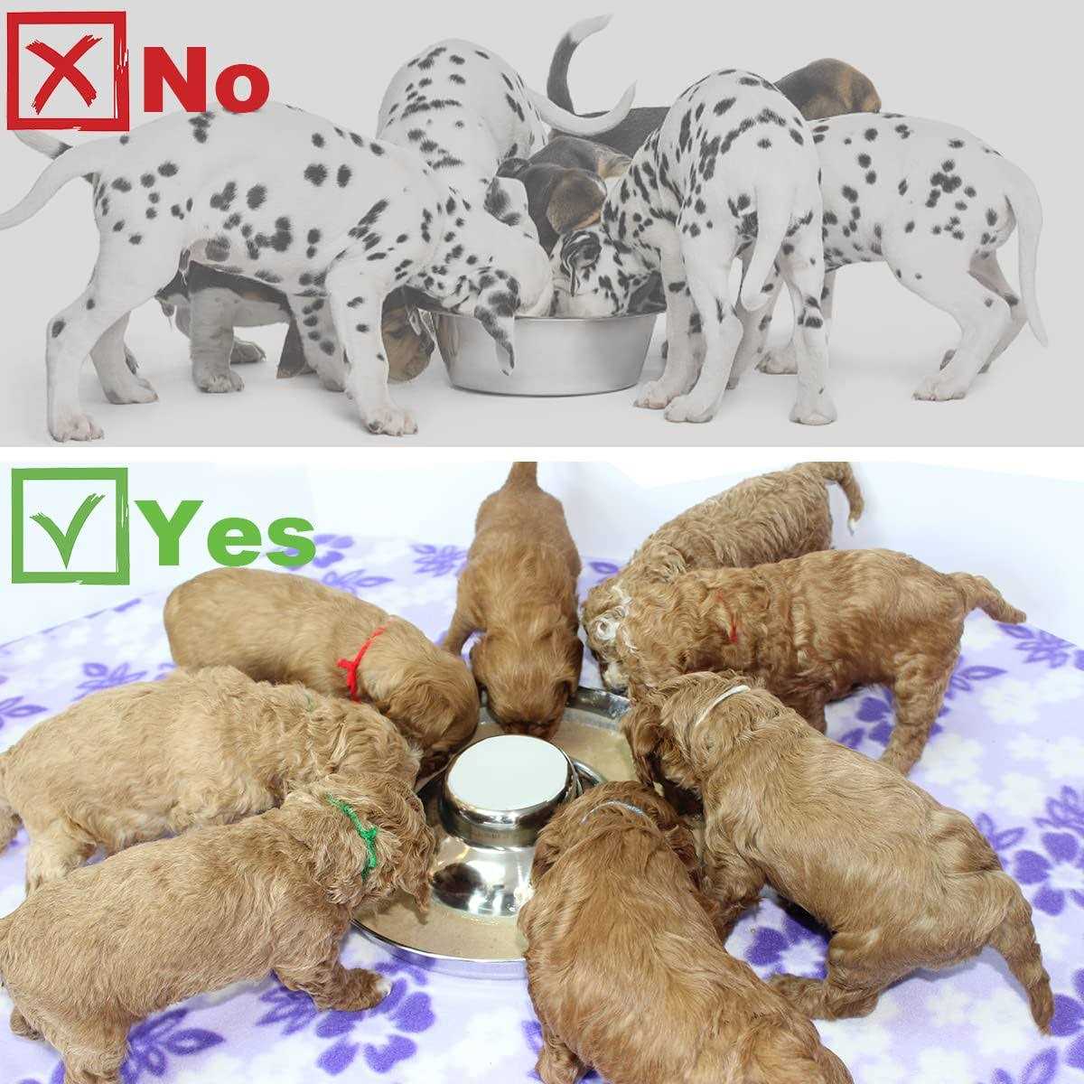 Stainless Steel Puppy Dog Bowls Y193695