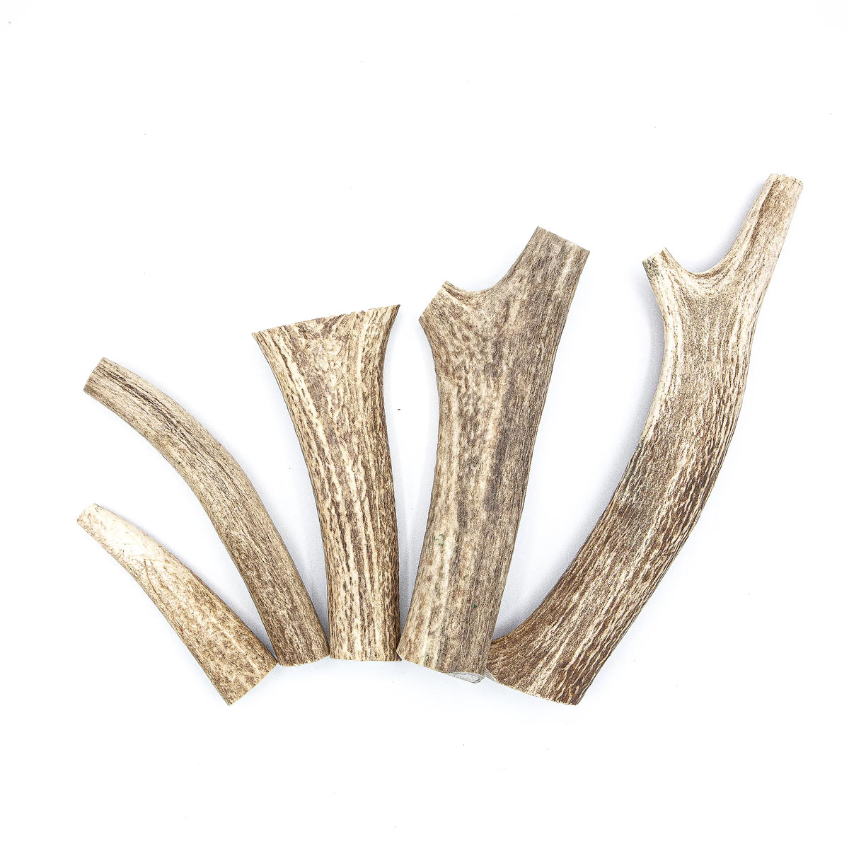 Elk Antlers Dog Chew S139965