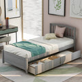Twin Size Wood Platform Bed with Storage and 2 Drawers J717
