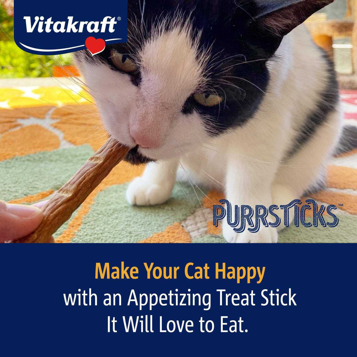 Chicken Cat Treats P71274