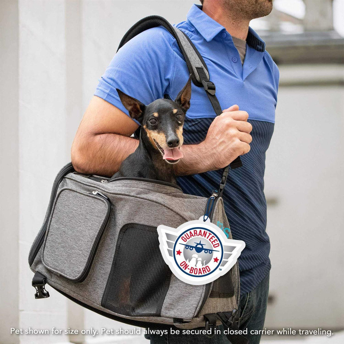 Sherpa Travel Backpack Pet Carrier W668