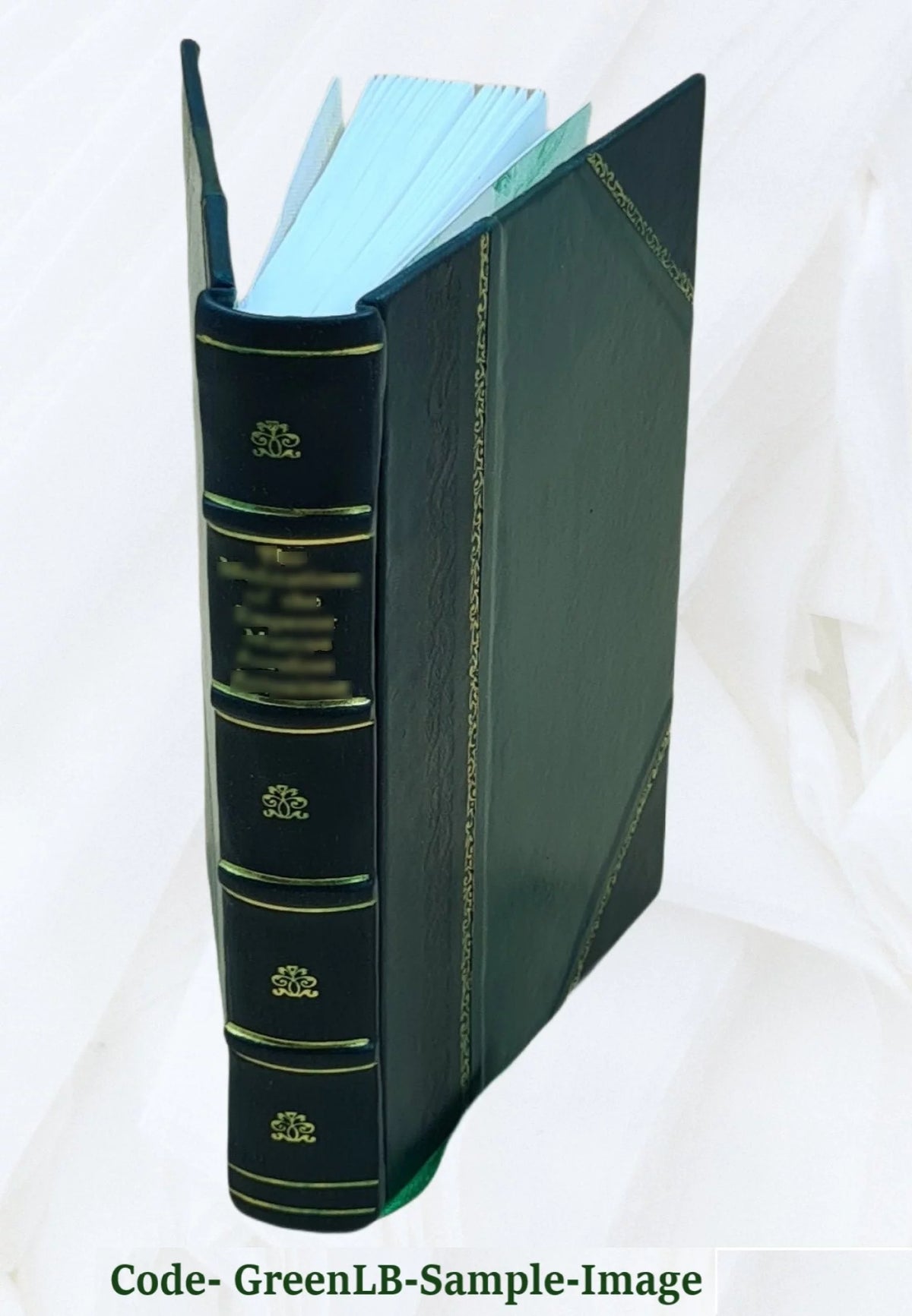 Leather Bound Book I686
