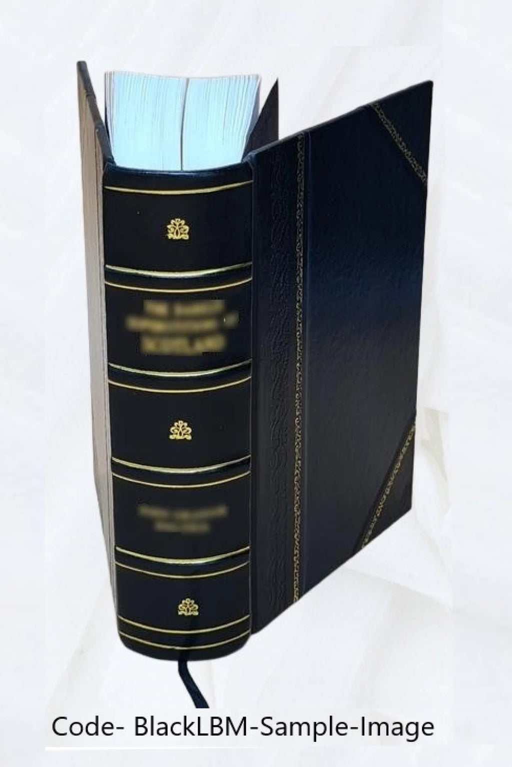 Hamburger Garten-und Blumenzeitung Leather Bound R27758