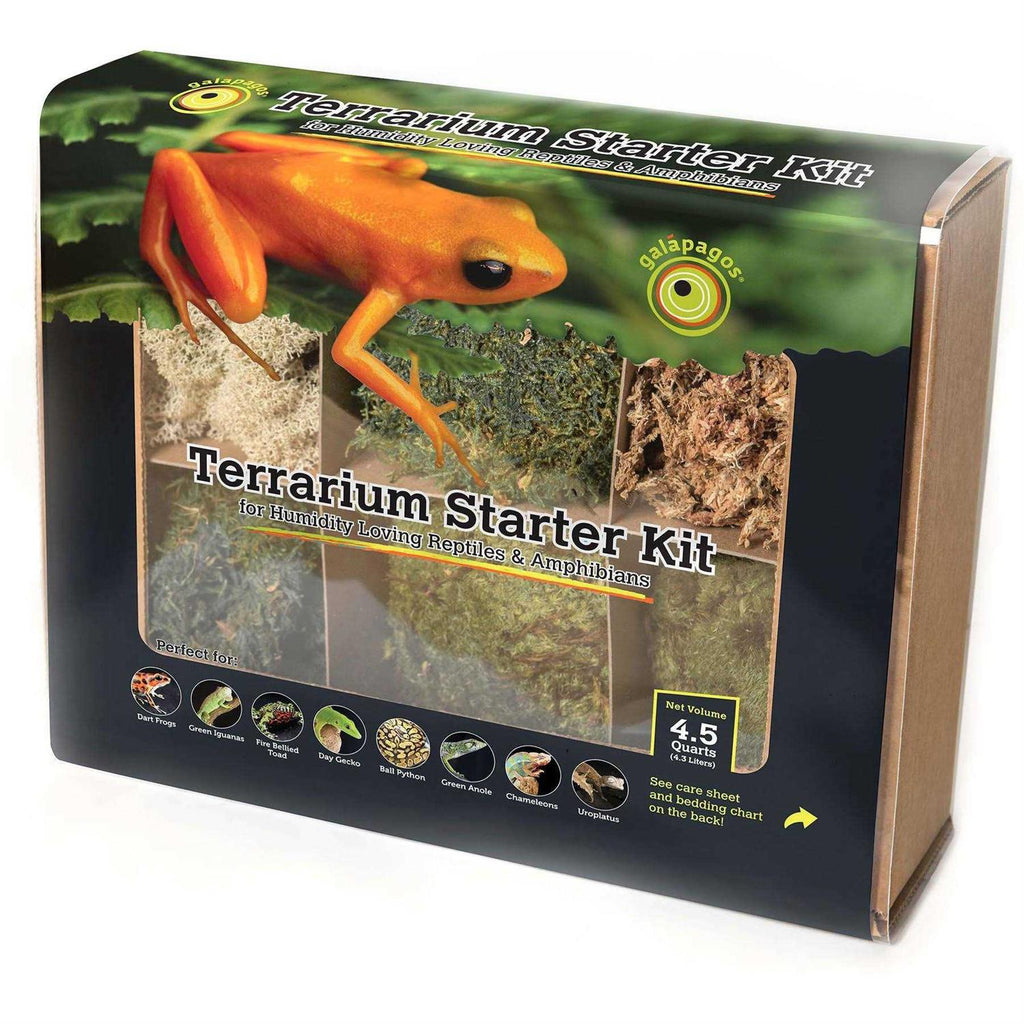 Terrarium Starter Kit T469622