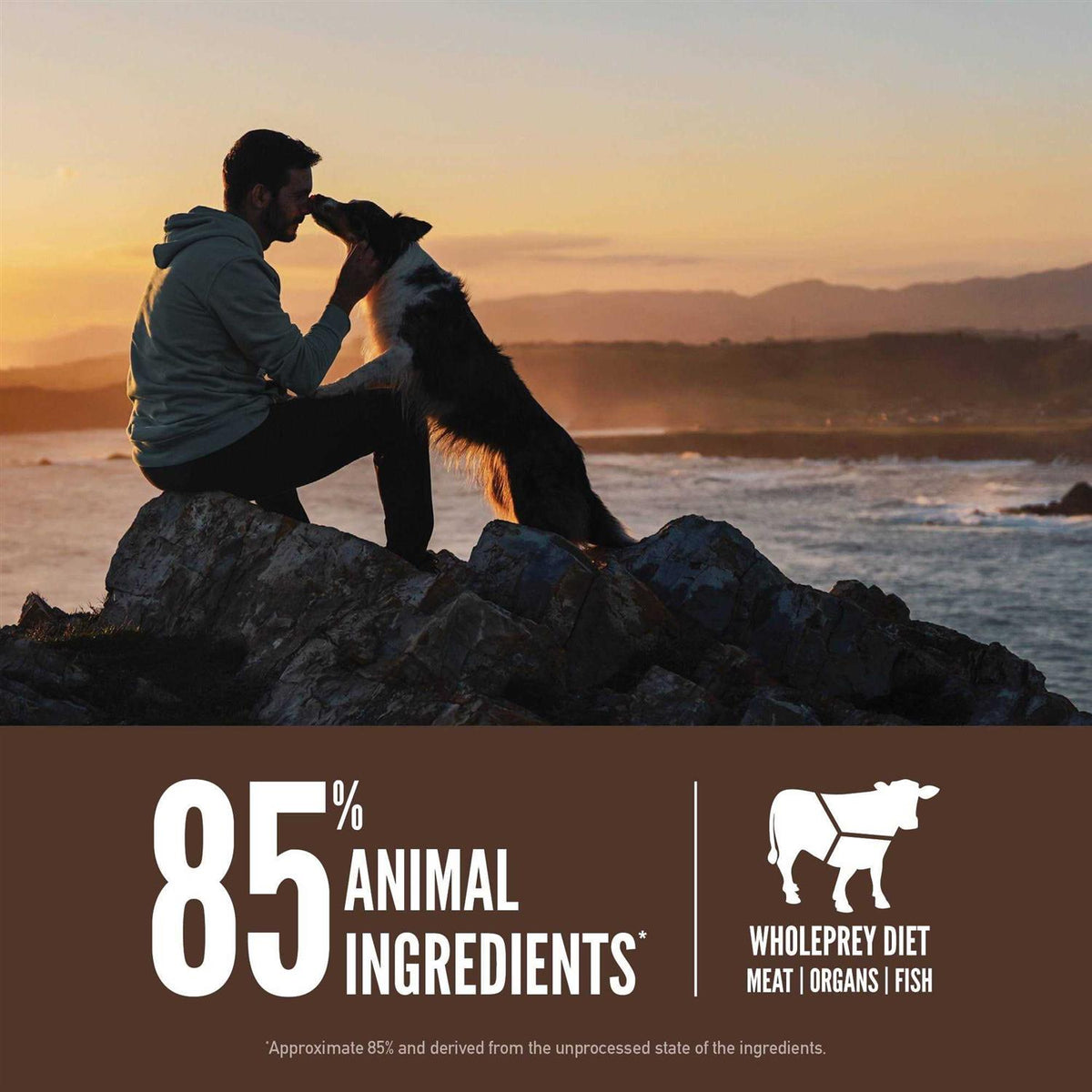 Dry Dog Food R4510