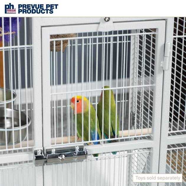 Bird Cage X22549