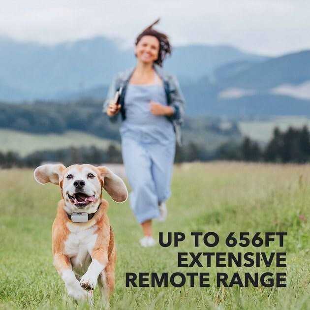 Dog Training System U91778