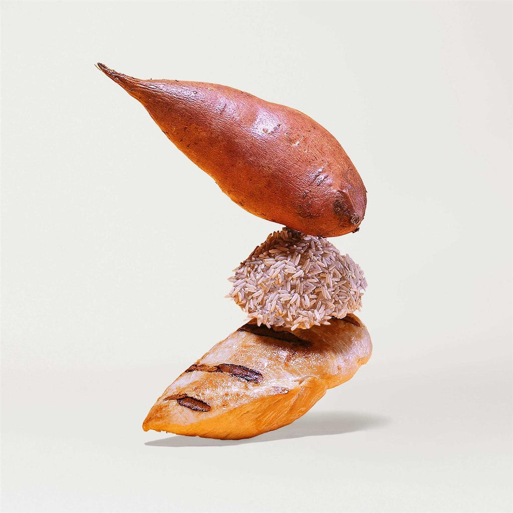 Brown Rice & Sweet Potato Dry Dog Food I282498