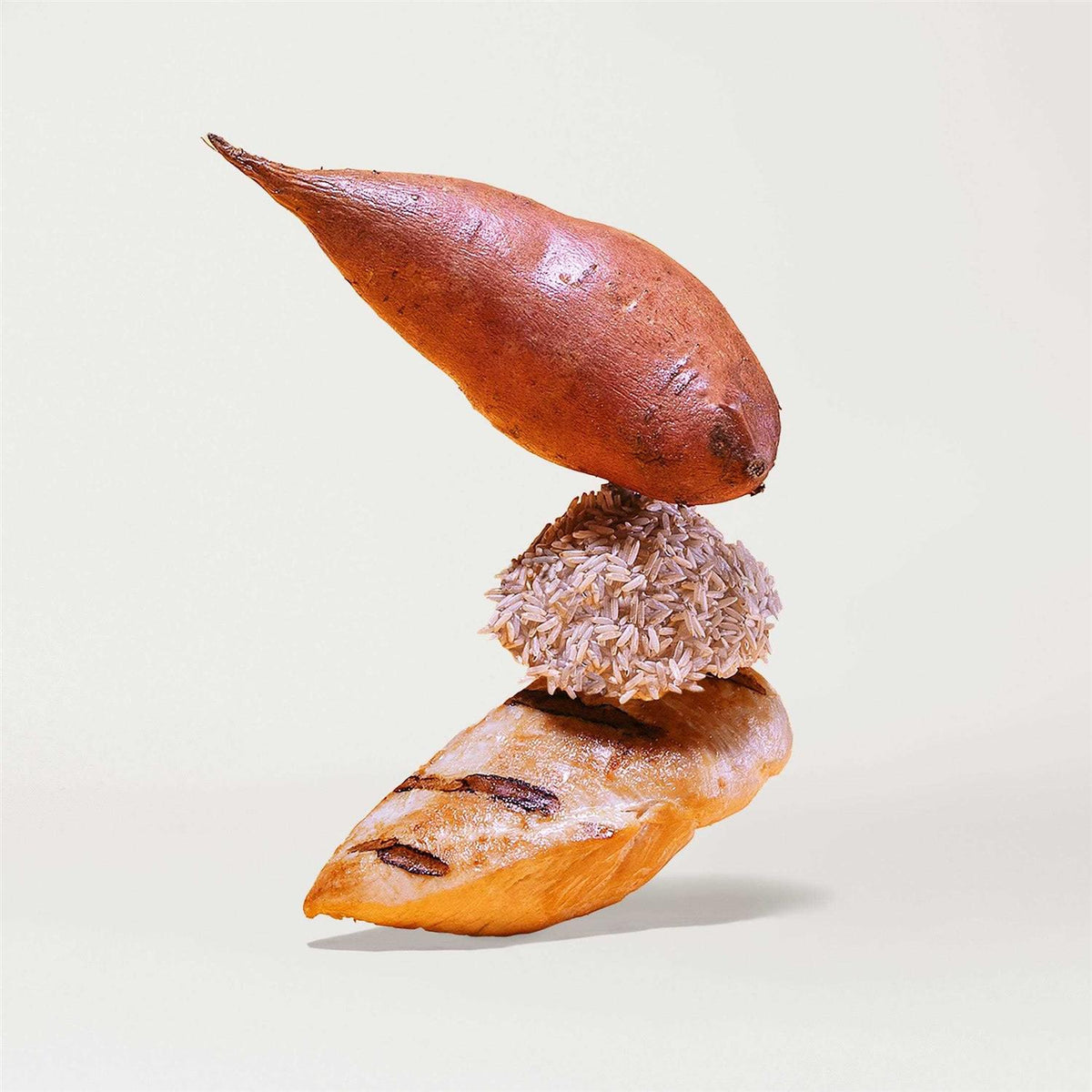 Brown Rice & Sweet Potato Dry Dog Food I282498