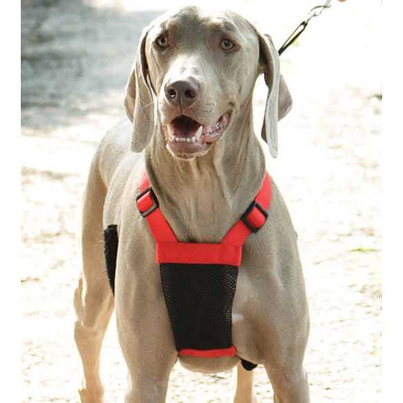 Mesh Non Pull Dog Harness P4776