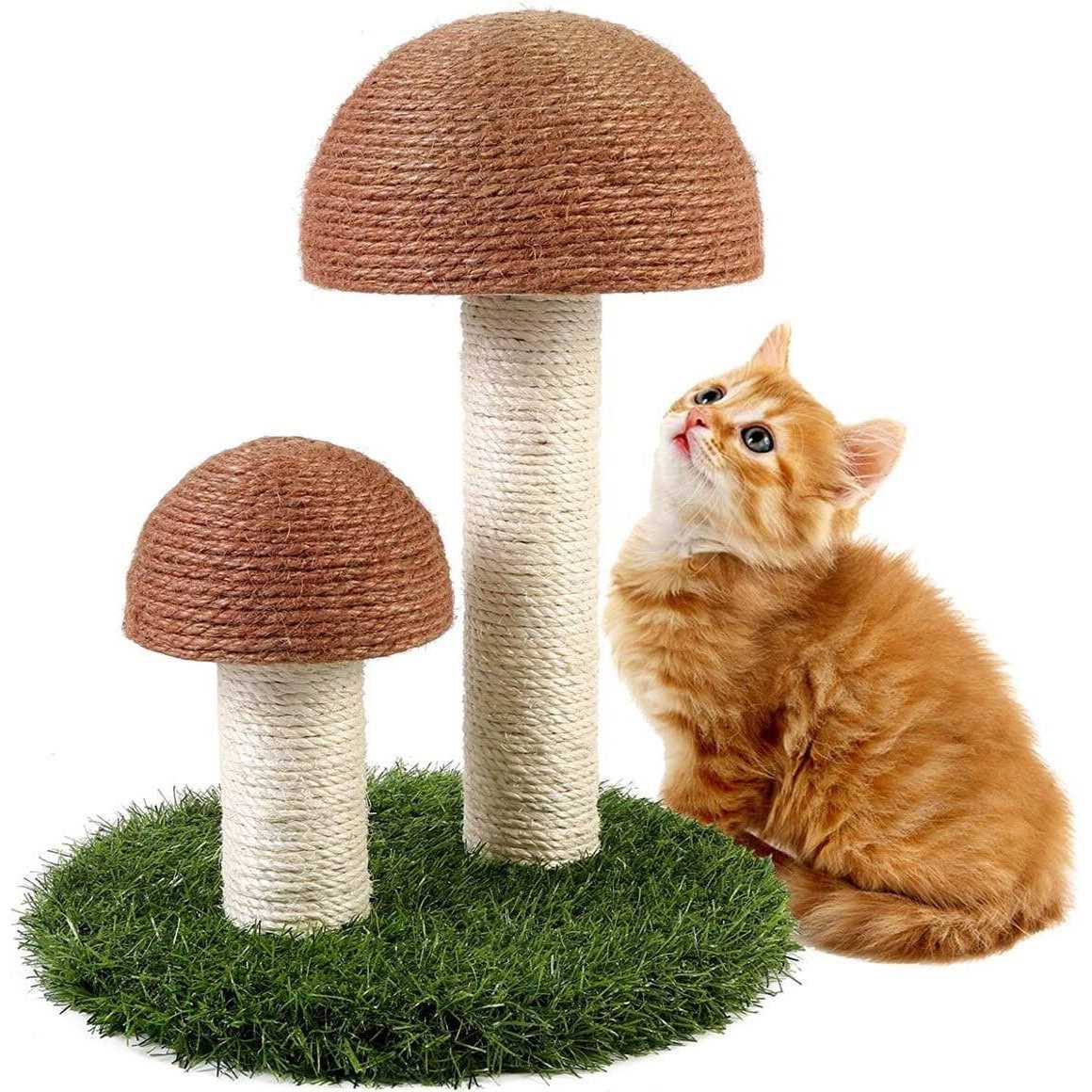 Mushroom Cat Scratcher S150