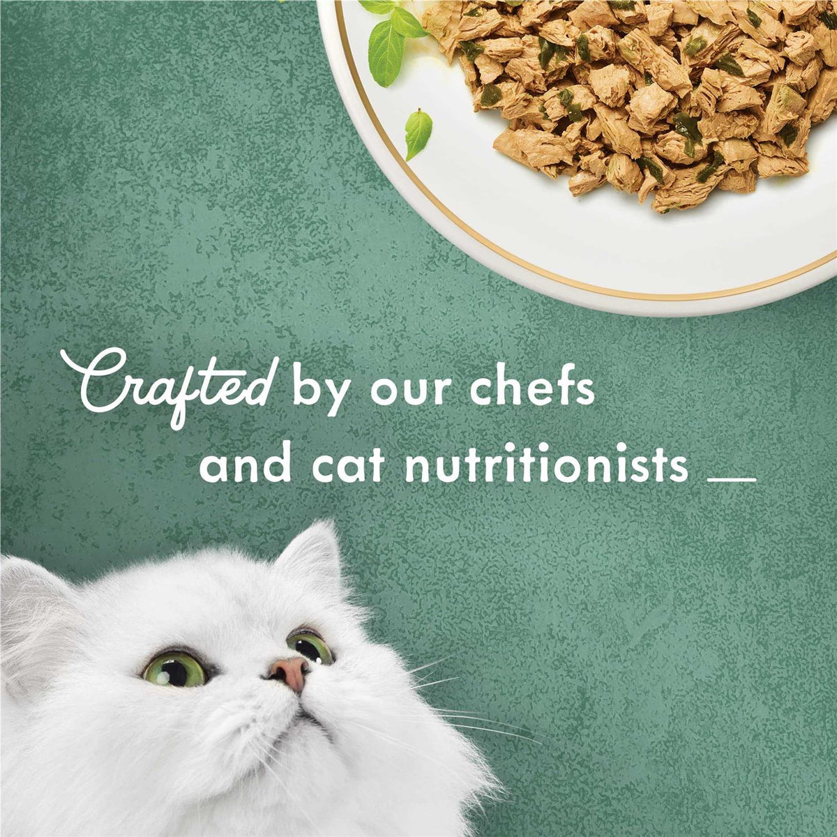 Shredded White Meat Chicken Wet Cat Food T951729