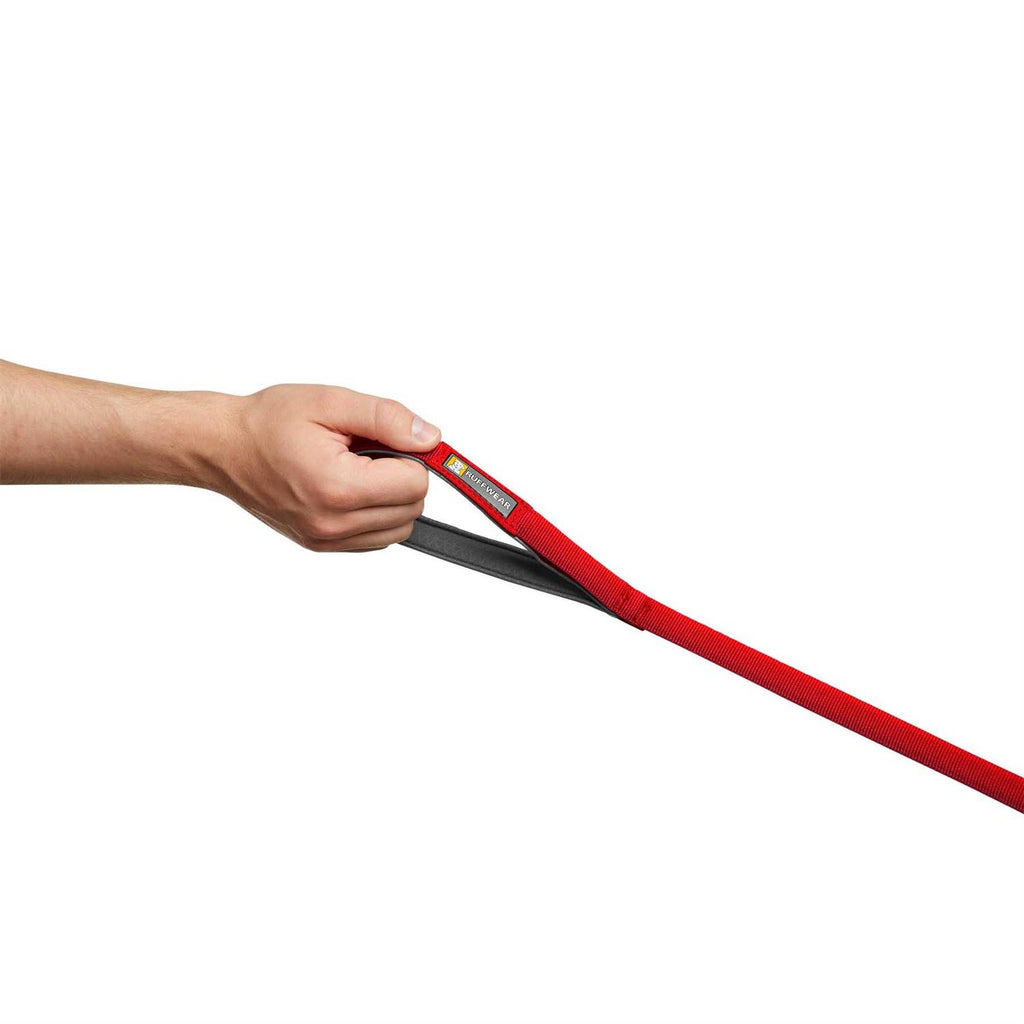 Leash L665619