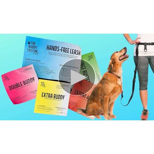 Adjustable Hands Free Dog Leash P7618
