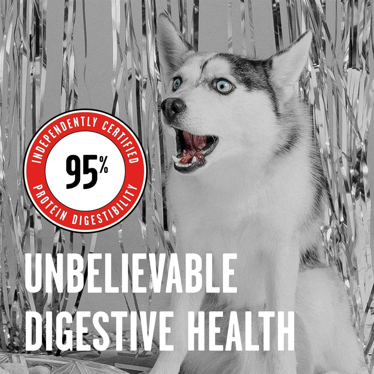 Freeze Dried Beef Dog Food Q57653