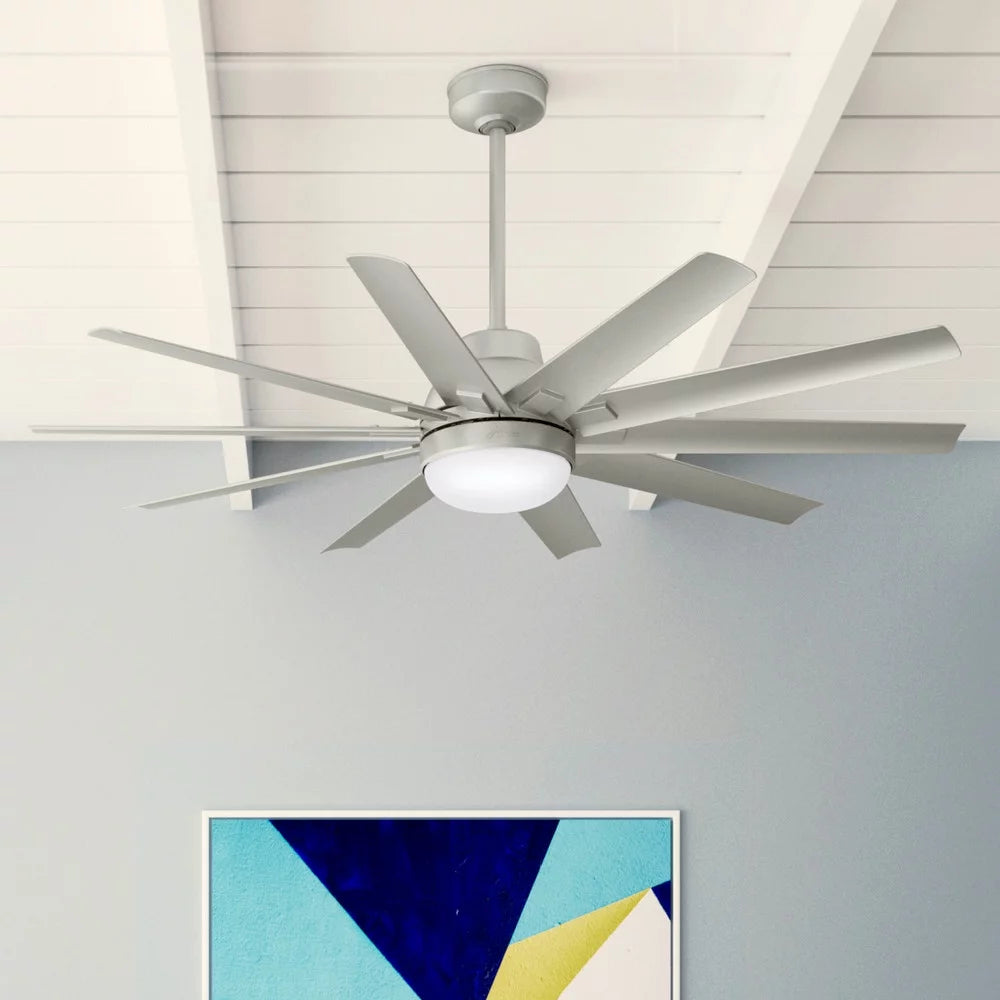 60" 10 Blade Indoor / Outdoor Led Ceiling Fan R416509