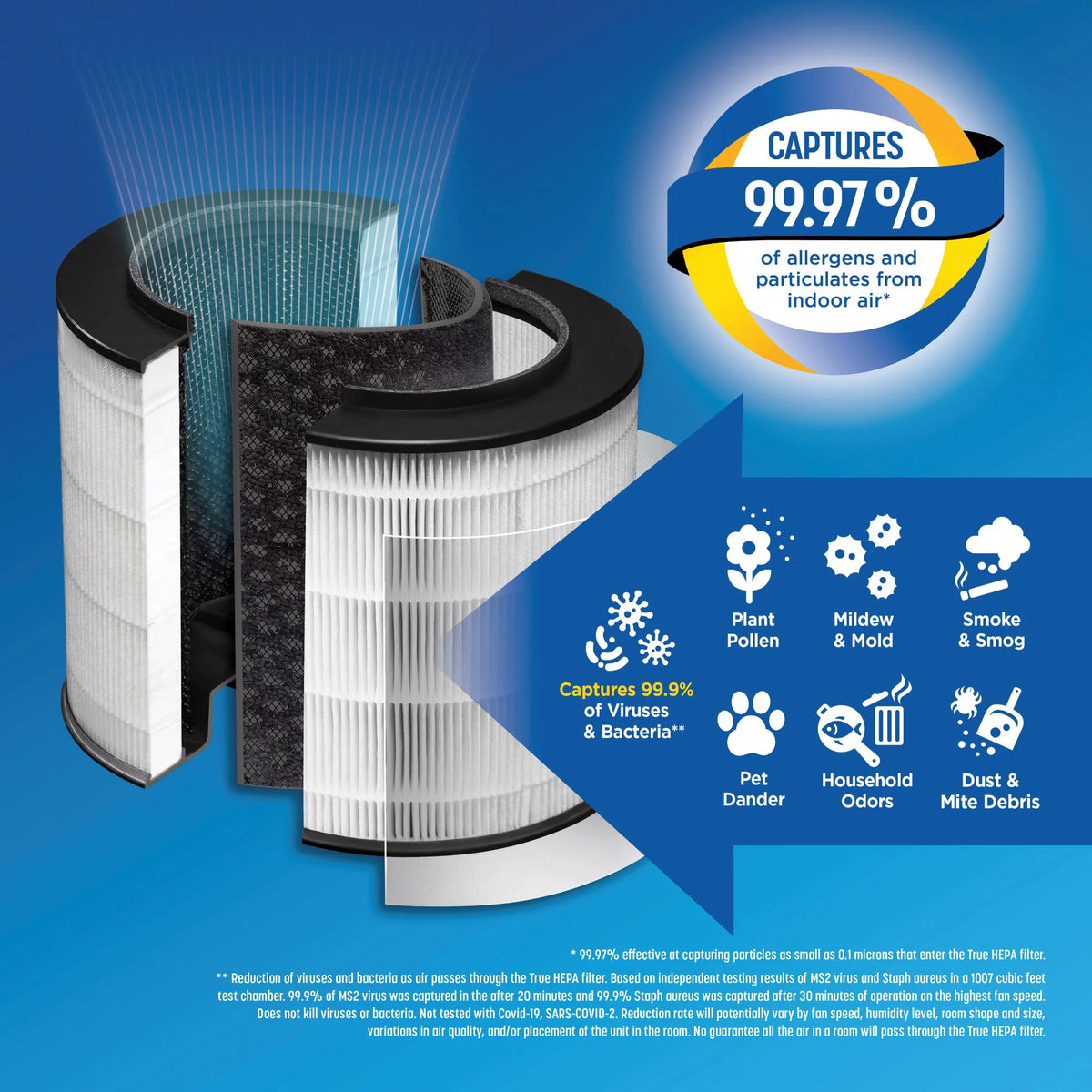 True HEPA Replacement Filter P183261