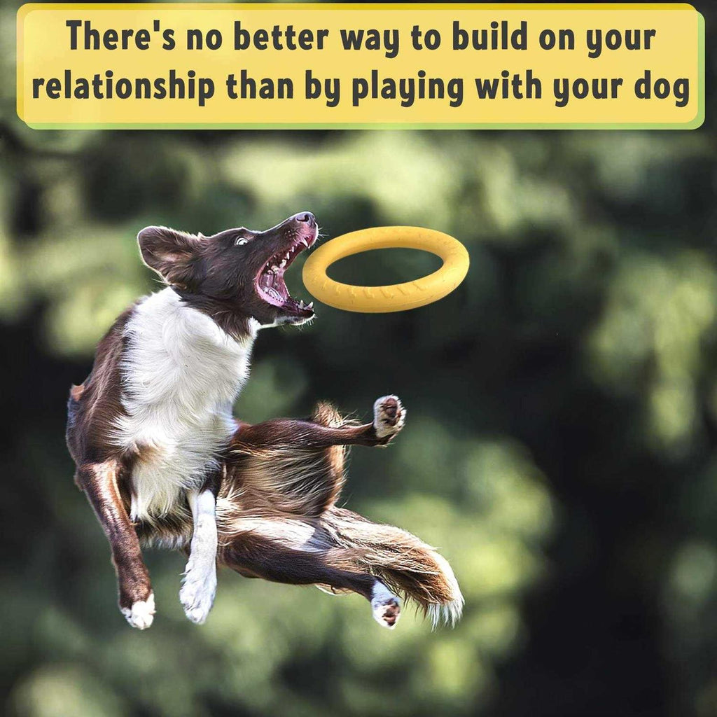 Dog Training Ring and Flying Disc Dog Toy M53500