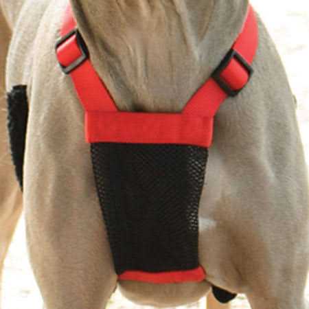 Mesh Non Pull Dog Harness P4776