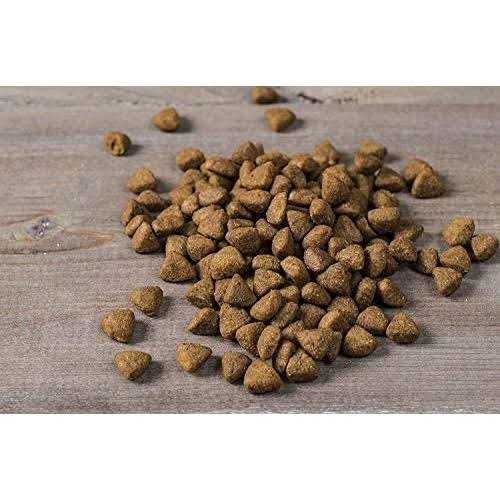 Chicken Oats & Turkey Dry Puppy Food V875750