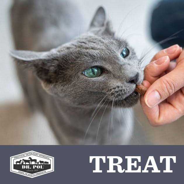 Freeze Dried Salmon Dog Treat and Meal Topper V714