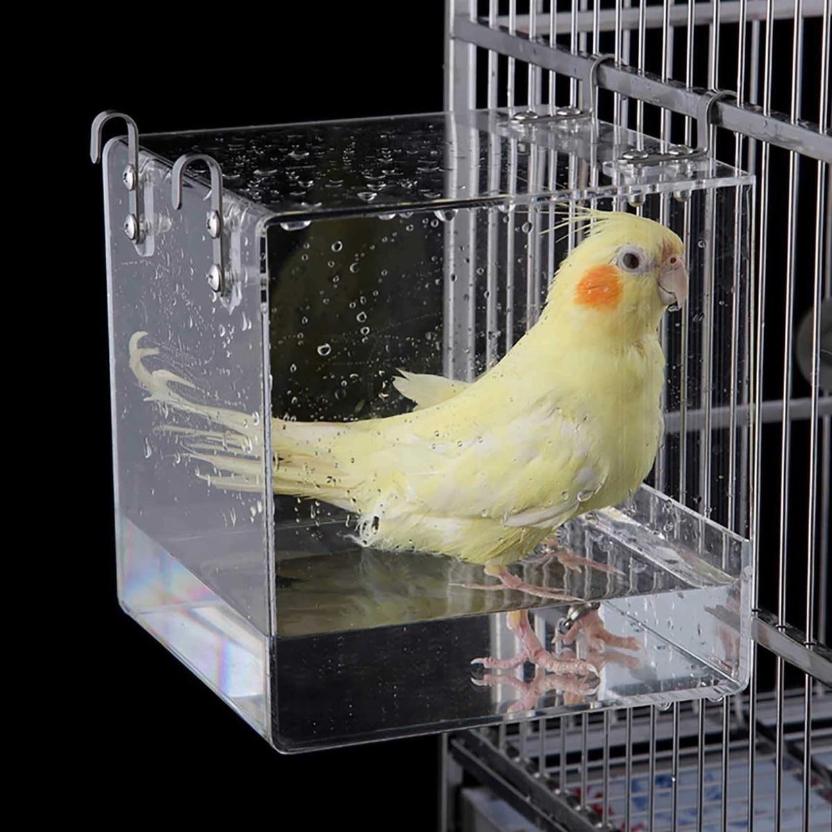 Bird Bath Cage Cleaning Pet Supplies X439