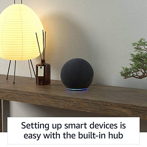 Charcoal Alexa Speaker K24730