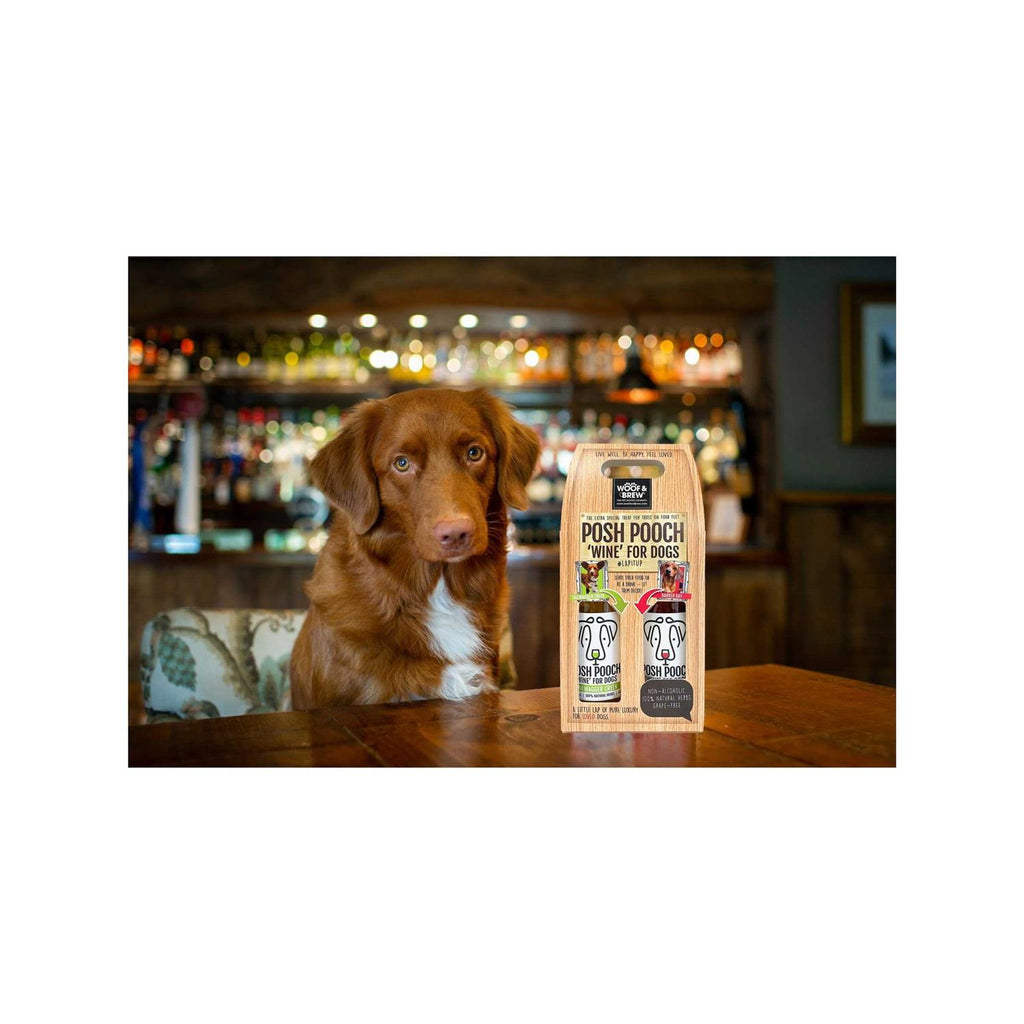 Dog Wine Duo Pack S76451