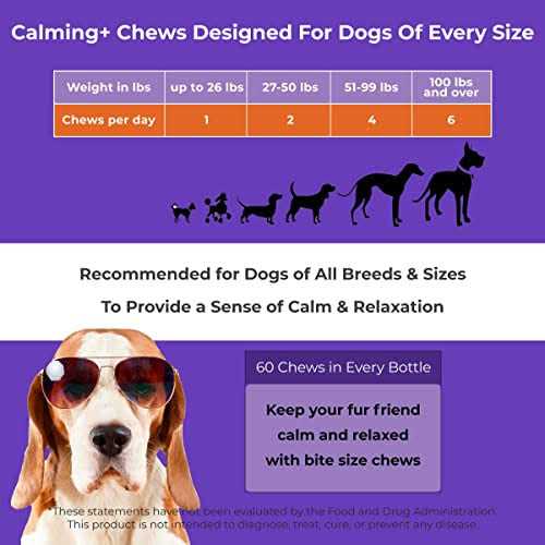 Calming Chews for Dogs Dog Sleep Supplement A38146