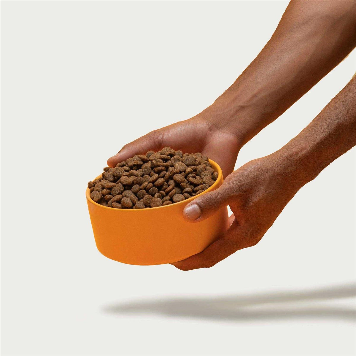 Brown Rice & Sweet Potato Dry Dog Food I282498