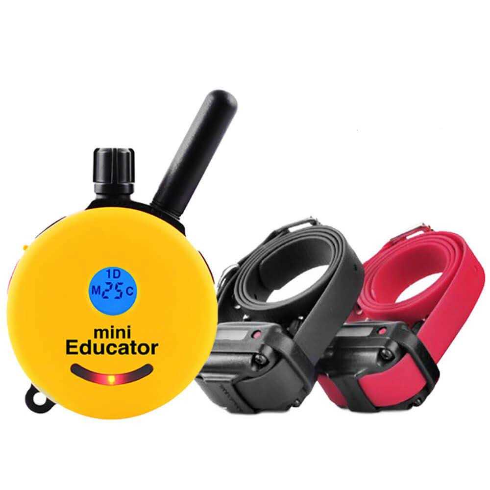 Dog Collar Remote G5167