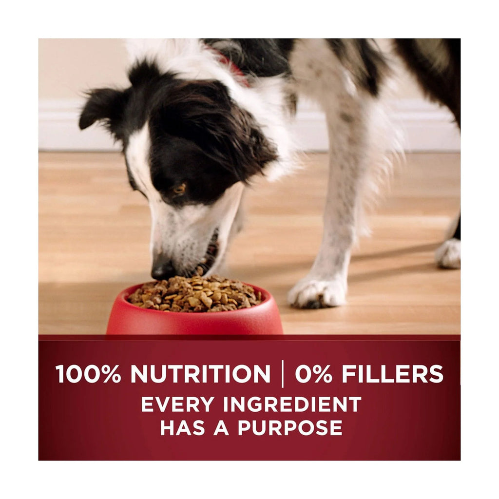 Turkey and Venison Dry Dog Food 7.4 lb Bag Pack of 16 J8728