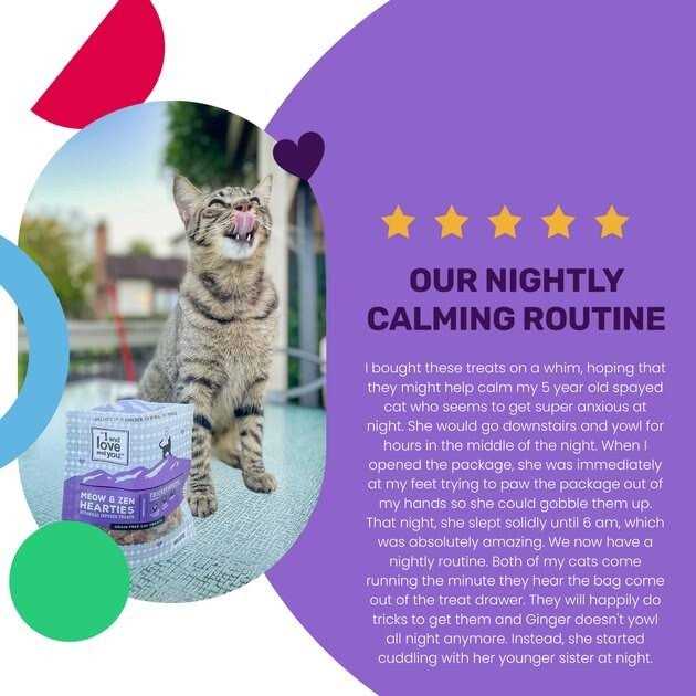 Cat Treats S8774