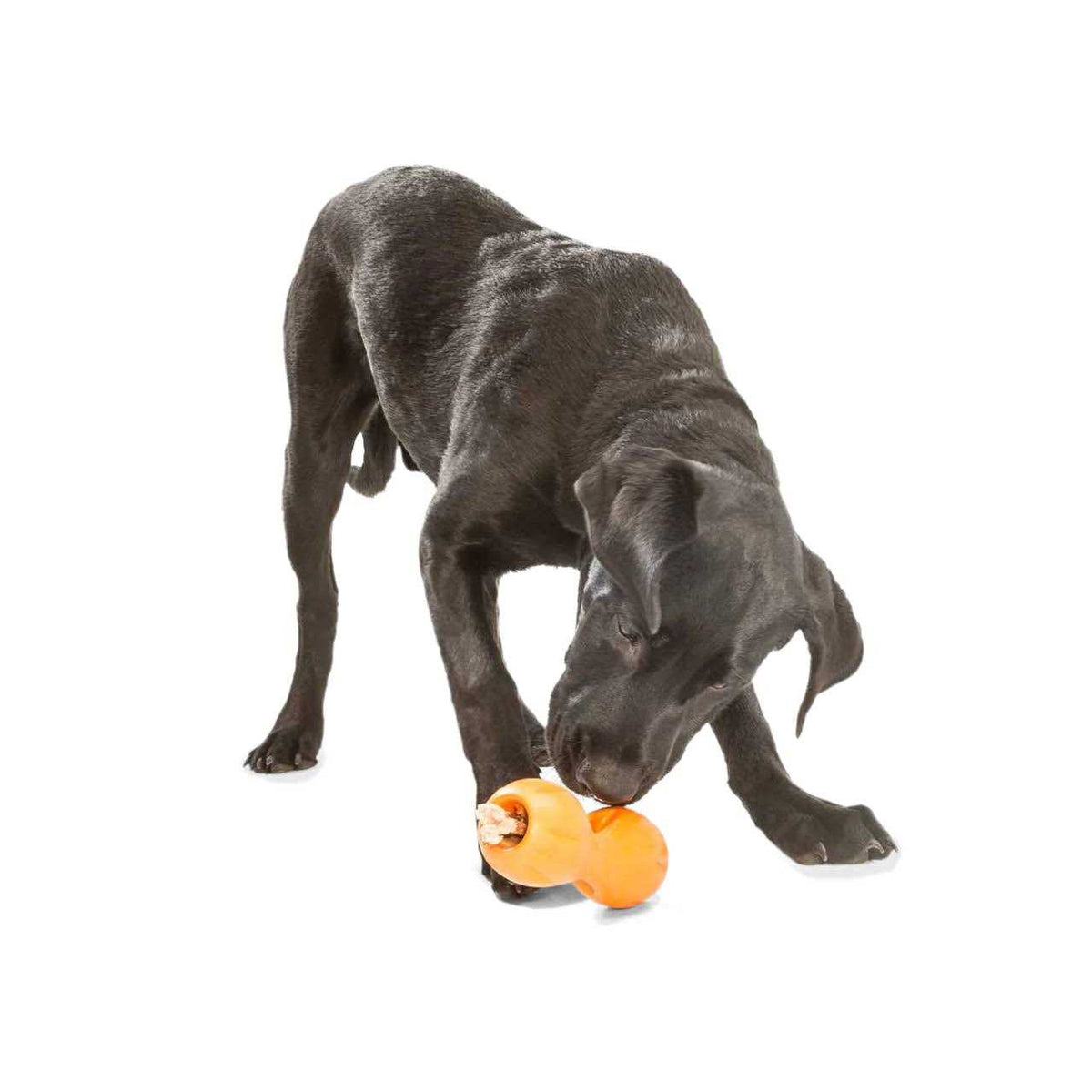 Dog Toy V204